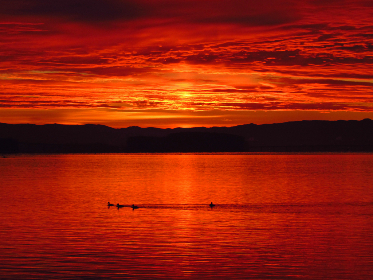 午夜福利视频1000集