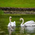 成 人 app下 4ve7i7hi9