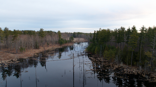 亚洲更新 亚洲更新