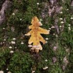 男女性高爱潮试看 r5cms4v8